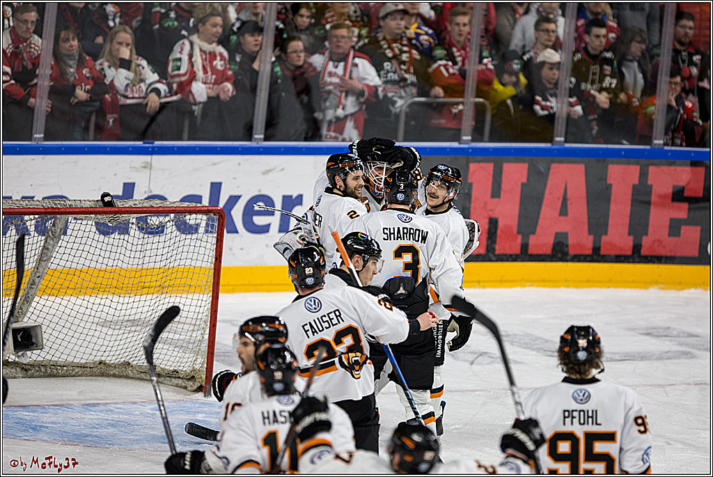 DEL, Koelner Haie - Grizzlys Wolfsburg, 21.03.2017